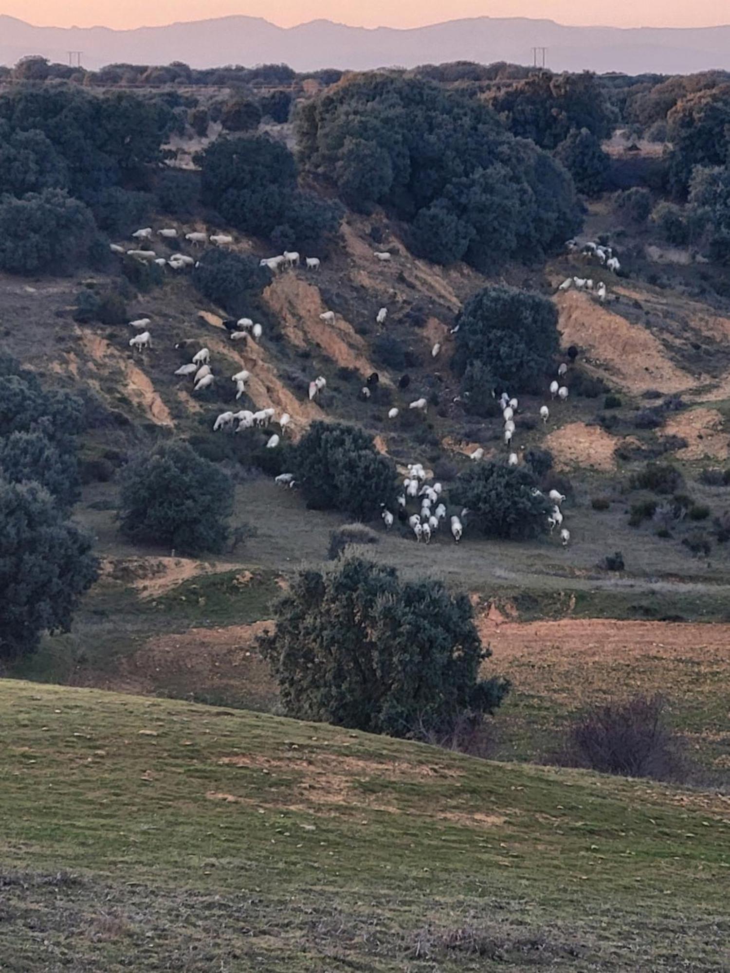 La Pedrosa Casa Rural Camarzana de Tera Luaran gambar